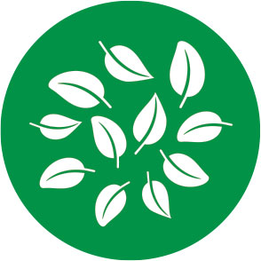 Zelen ikon